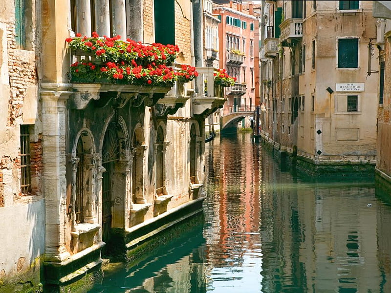 Venetian reflection, canal, houses, bonito, venice, water, bridge, flowers balcony, reflection, italy, HD wallpaper