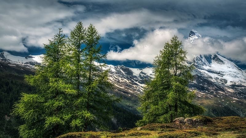 Alps near Zermatt, Switzerland, trees, landscape, fog, rocks, mountains, HD wallpaper