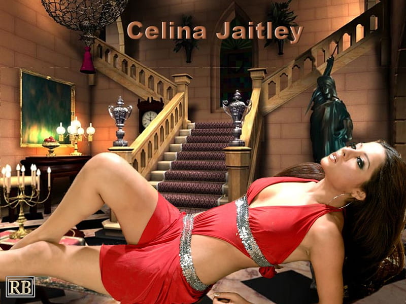 Celina-Jaitley, cool, HD wallpaper | Peakpx