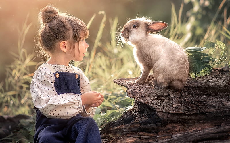 Girl and Rabbit, rabbit, child, girl, animal, HD wallpaper