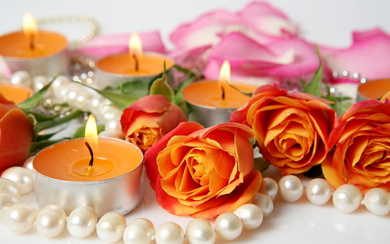 graphy, Still Life, Candle, Pearl, Rose, HD wallpaper
