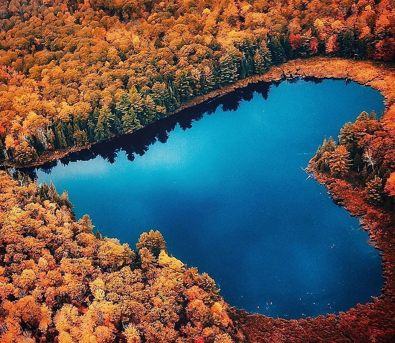 Heart Shaped Lake, Lake, Heart, Trees, Blue, Water, HD wallpaper