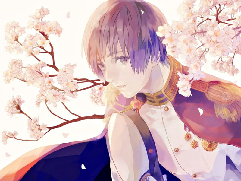 Spring, art, manga, boy, blossom, coppun, hetalia japam sakura, anime, white, cherry, HD wallpaper