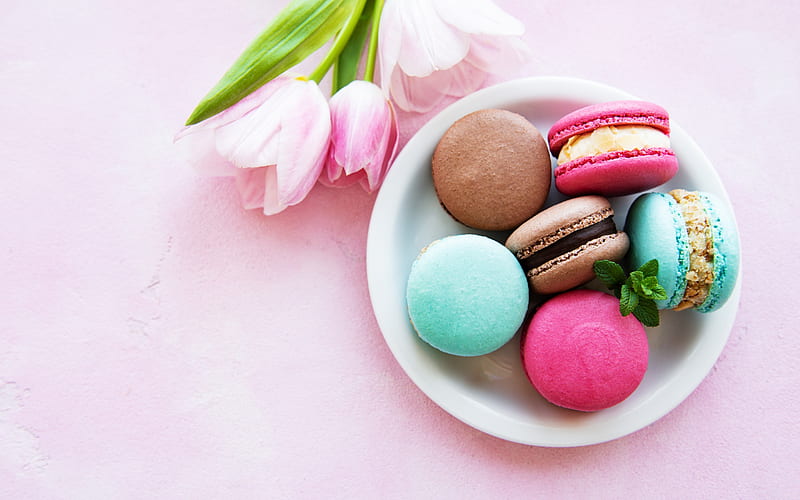 flower, macaron, pink, sweet, blue, card, tulip, food, dessert, cookie, HD wallpaper