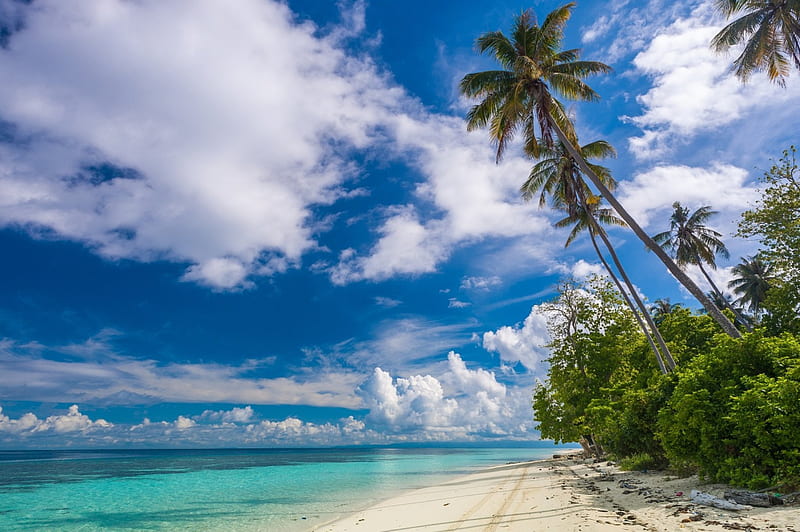 Tropical Paradise, Sabah, white sand, Malaysia, ocean, travel, bonito, clouds, shrubs, palm trees, beach, paradise, summer, island, tropical, HD wallpaper