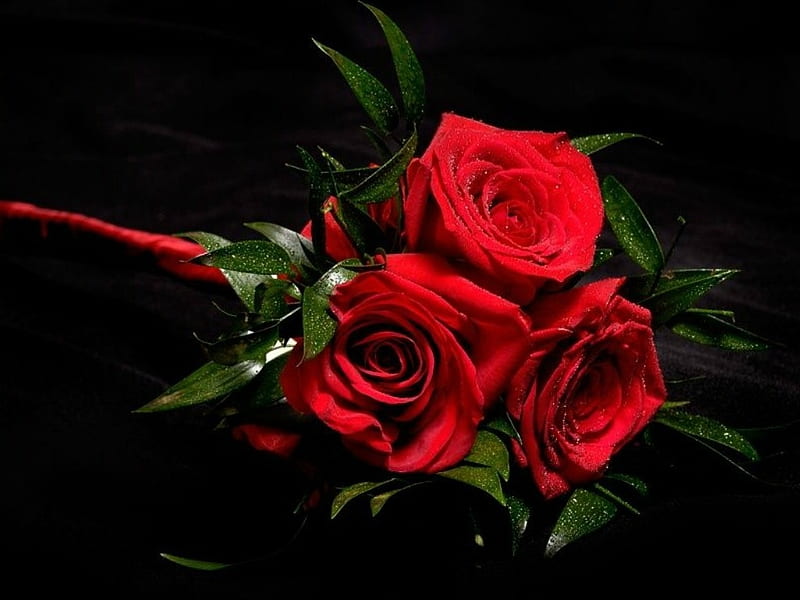 ROSE BOUQUET, PRETTY, ROSE, BOUQUET, RED, HD wallpaper ROSE BOUQUET, PRETTY, ROSE, BOUQUET, RED, HD wallpaper