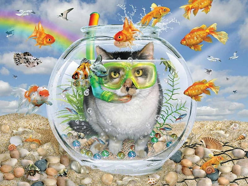 Role Reversal, water, fish, funny, cats, bowl, HD wallpaper