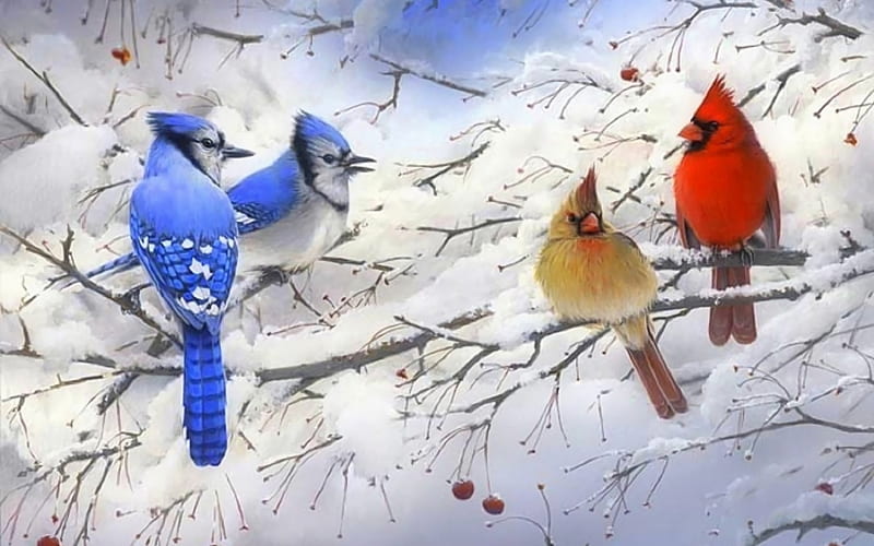 Winter scene, bird, snow, winter, cardinal, HD wallpaper