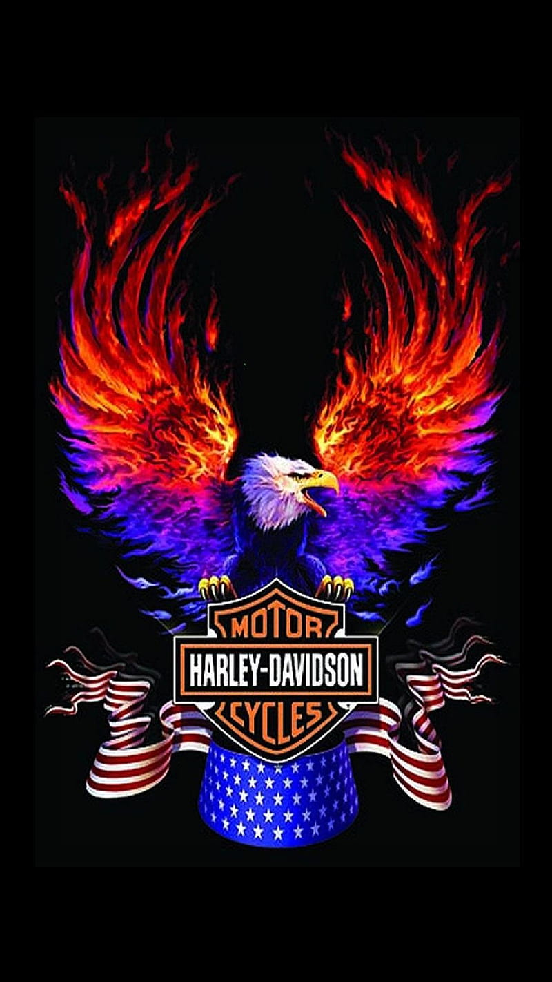 Harley Davidson, HD phone wallpaper