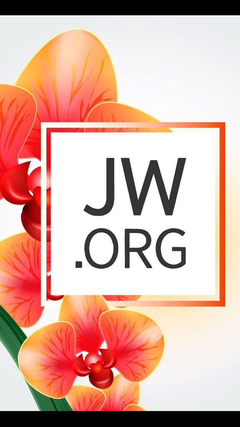 JW FLOWER, HD phone wallpaper