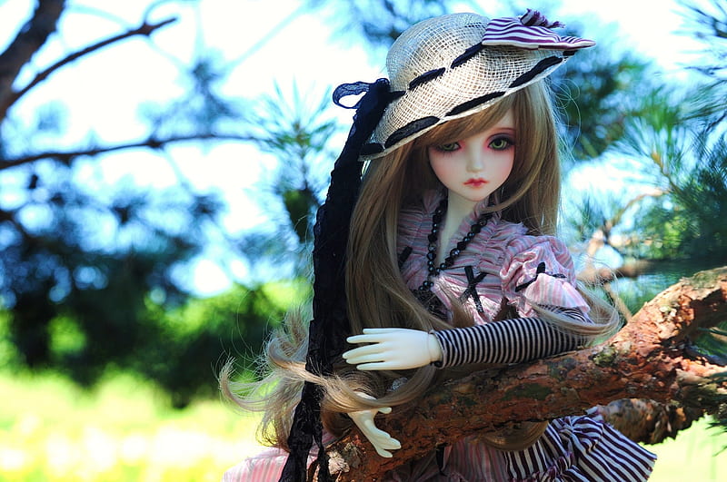 Doll, cute, tree, papusa, toy, hat, HD wallpaper