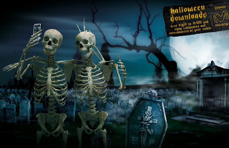 Movie Star Skeletons, graveyard, camera phone, skeletons, halloween, HD wallpaper