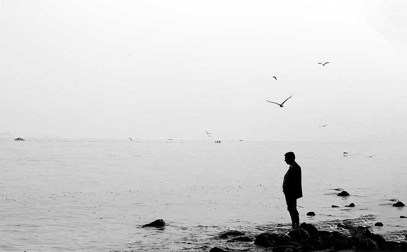 Silhouette of Man Standing on Rock Near Sea, HD wallpaper