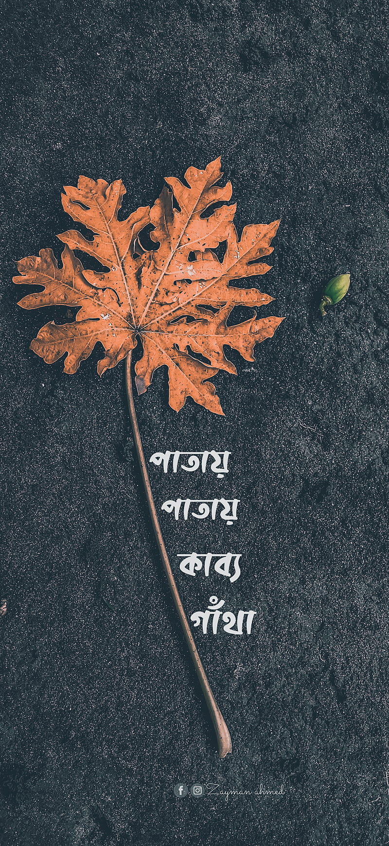 Bangla typography, api, bangladesh, bd, quotes, zayman, zayman ahmed, zuko, HD phone wallpaper