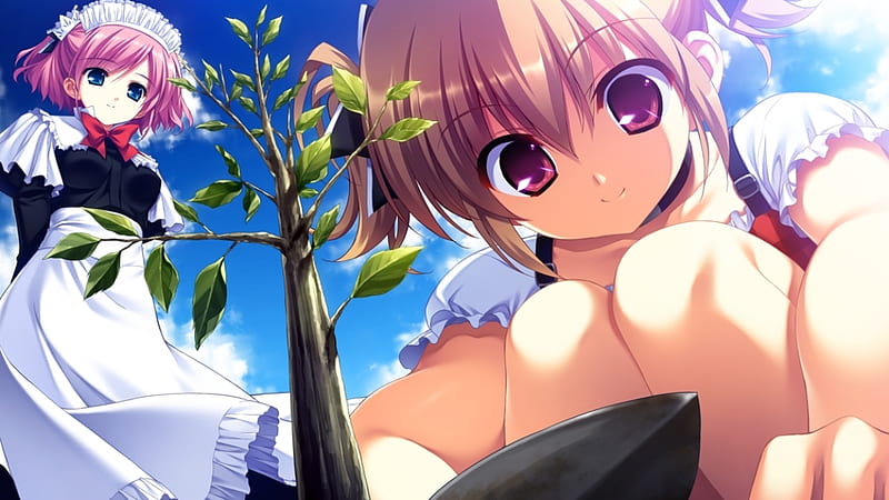 Growing Tree, anime girls, maid, cute, anime, HD wallpaper