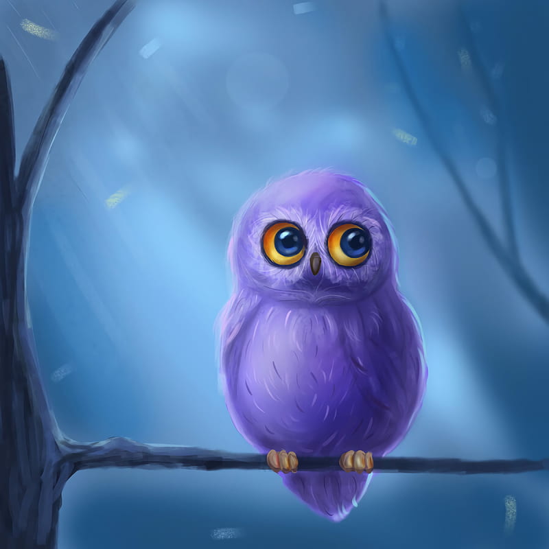 Owl Cute, animal, HD phone wallpaper | Peakpx