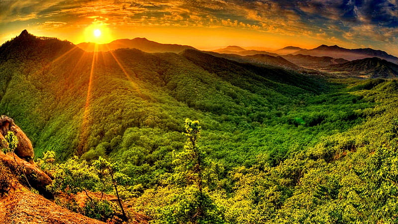 beautiful sunbeams over green valley, forest, mountains, sunbeams, sunset, valley, HD wallpaper
