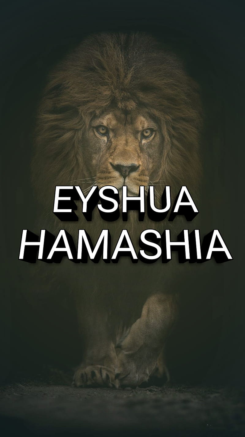 Yeshua hamashia, evangelio, jesús, rey, león, u, Fondo de pantalla de ...