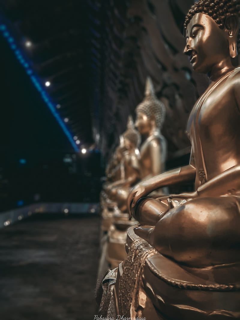 Buddha statue cmb, buddhism, buddhist, gold, lord, night, solid, sri lanka, zen, HD phone wallpaper