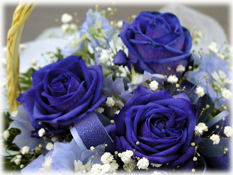 Rosas azules, flores, rosas, ramo, azul, Fondo de pantalla HD | Peakpx