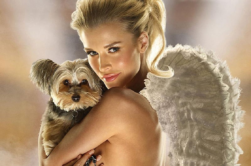 Hot and pup, pretty, female, wings, lovely, model, sexy, cute, hot, animals, dog, HD wallpaper