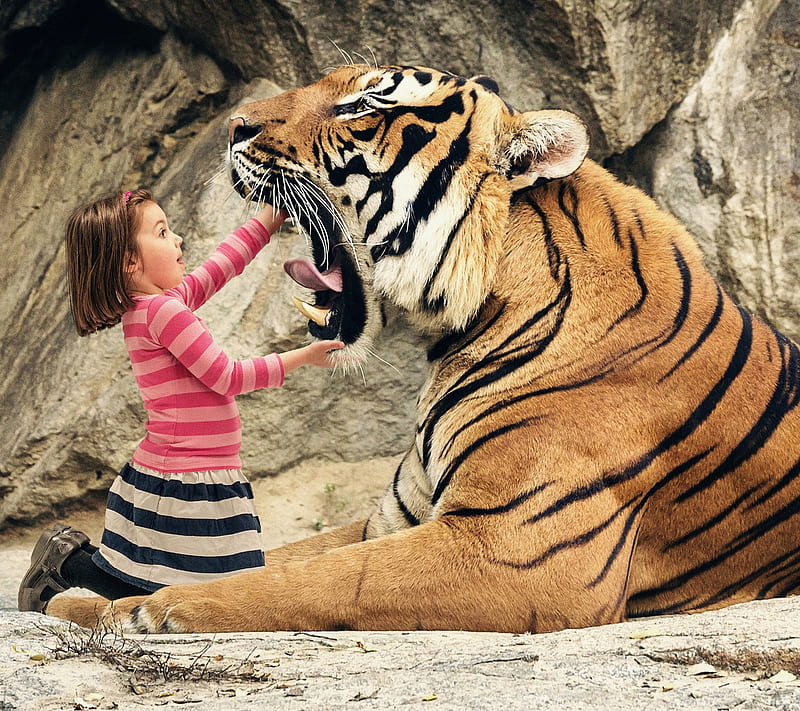 Girl and Tiger, cat, feline, funny, jaws, pink, stripes, teeth, HD wallpaper