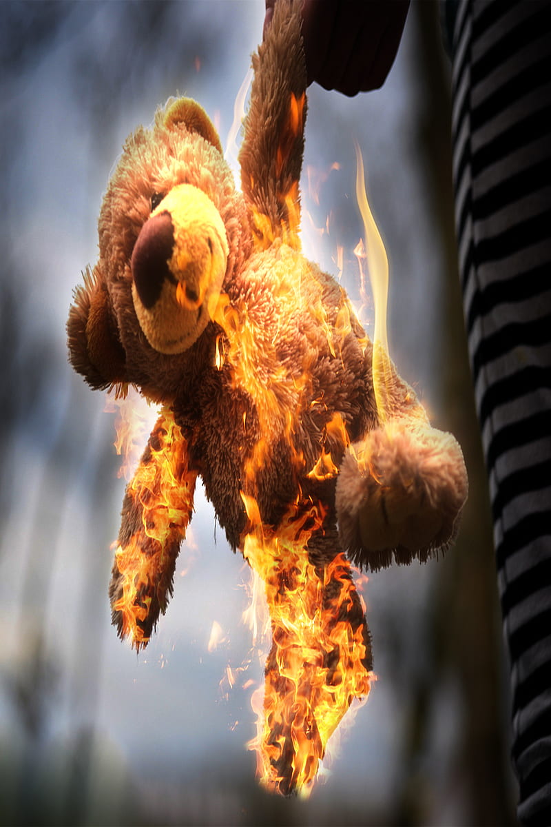 Toy Bear On Fire, Hermes, amazing, amazon, annie, aus, australia, bear fire, bears, blue, brown, child, children, fire place, fogo, forest, kid, lol, manipulation, nice, pit, red, safe, trees, urso, HD phone wallpaper