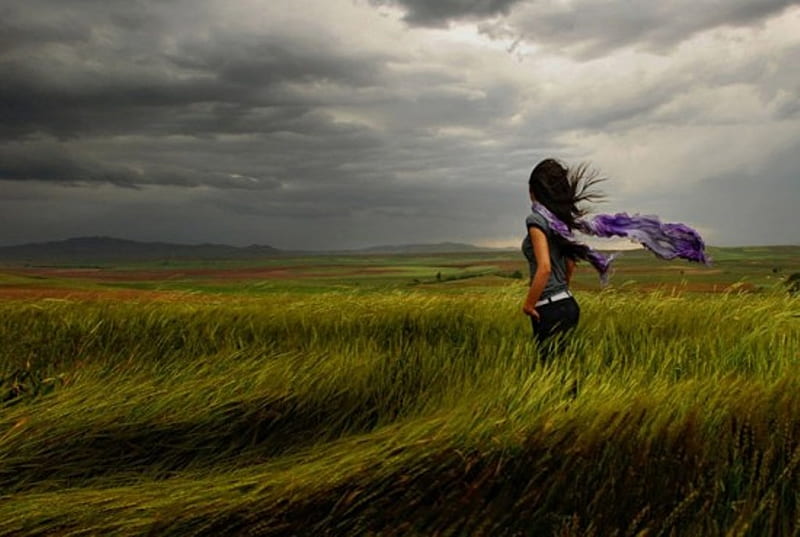 Whisper of the wind, grass, clouds, green, love, beauty, evening, calling, feeling, sadness, wind, sky, girl, purple, waiting, lonely girl, scarf, field, HD wallpaper