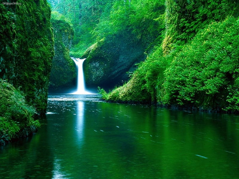 Punch Bowl Falls in Oregon, Beauty, Trees, Hood River County, Green, Eagle Creek, 10 feet wide, 35 feet tall, Punch Bowl Shape, Spectacular, HD wallpaper