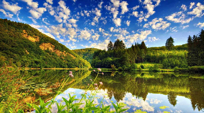 Beautiful Place, pretty, grass, woods, bonito, clouds, splendor, green ...