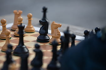 Chess, chess piece, knight, bokeh, HD phone wallpaper