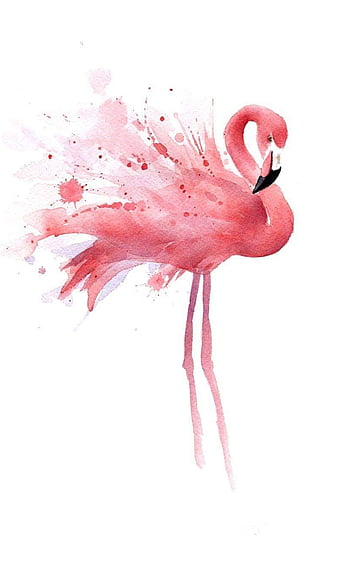 Cute Flamingo Wallpapers  Wallpaper Cave