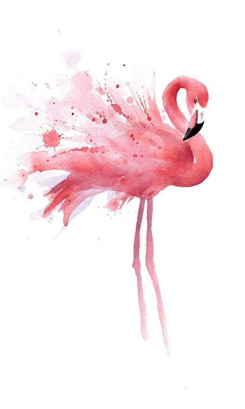 Pink flamingo, anime, love, HD phone wallpaper