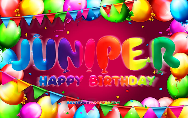 Happy Birtay Juniper colorful balloon frame, Juniper name, purple background, Juniper Happy Birtay, Juniper Birtay, popular american female names, Birtay concept, Juniper, HD wallpaper
