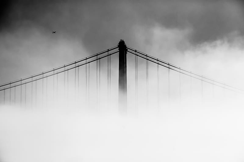 San Francisco Oakland Bay Bridge Covered With Fog, bay-bridge, bridge, graphy, fog, monochrome, black-and-white, HD wallpaper