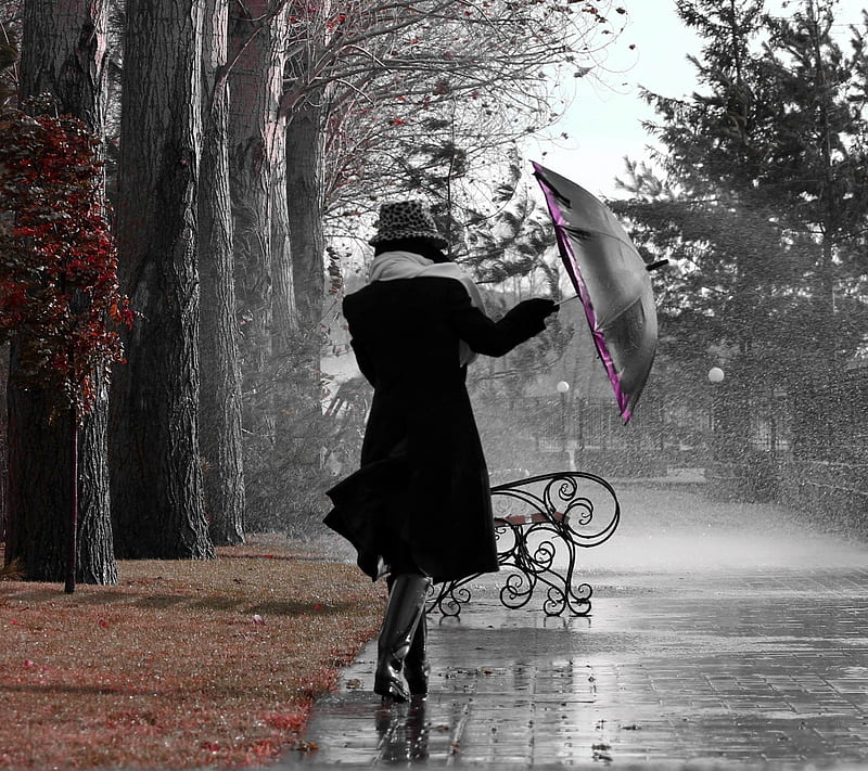 Rainy Day, alone, autumn, bench, lady, park, sad, trees, umbrella, women, HD wallpaper