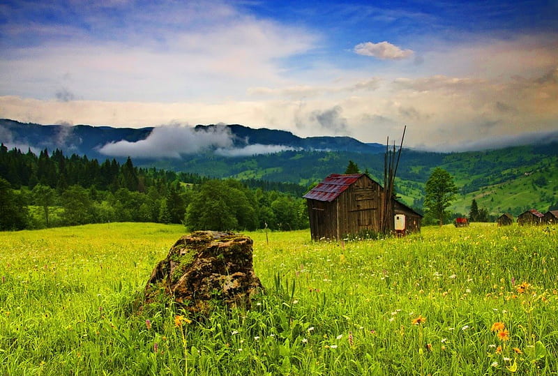 Mountain huts, pretty, house, grass, cottage, cabin, bonito, mountain ...