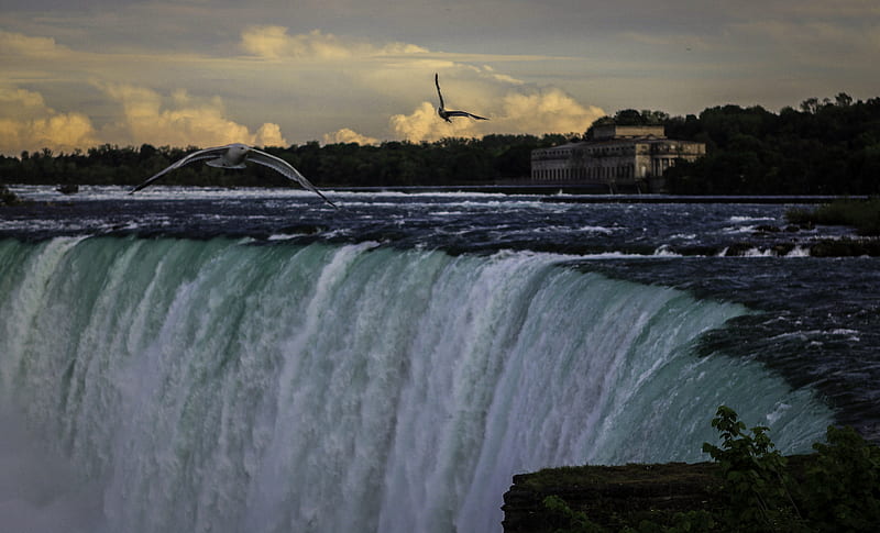 Niagara falls, niagra, niagra falls, sea gull, sunset, waterfall, waterfalls, HD wallpaper
