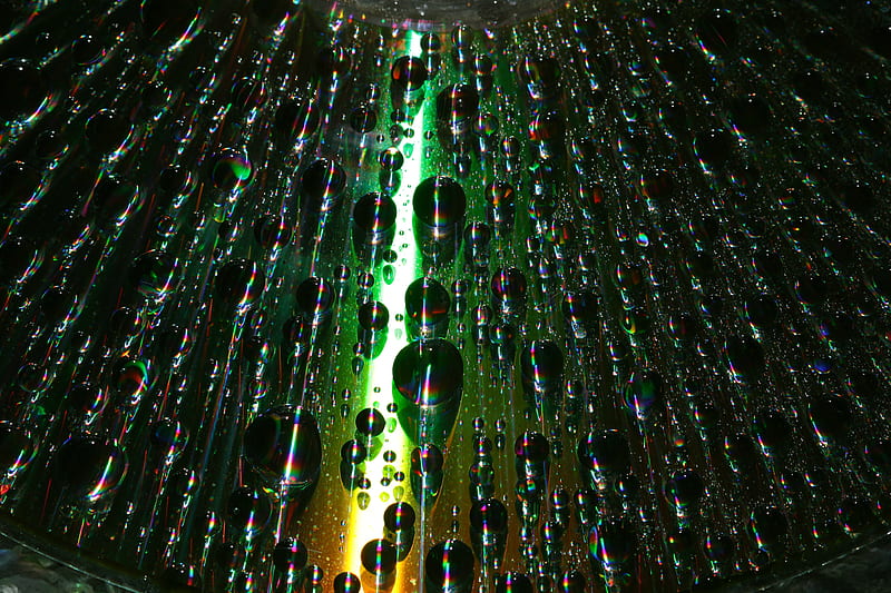 bubbles, drops, moisture, macro, gradient, iridescent, HD wallpaper