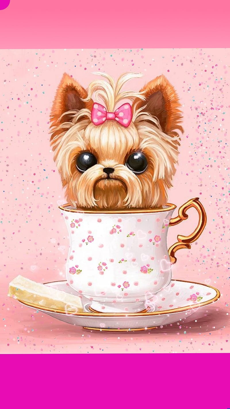Yorkie dog teacup , cute, HD phone wallpaper