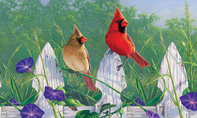 Fence cardinals, pasari, painting, cardinal, art, fence, red, james hautman, bird, green, white, couple, HD wallpaper