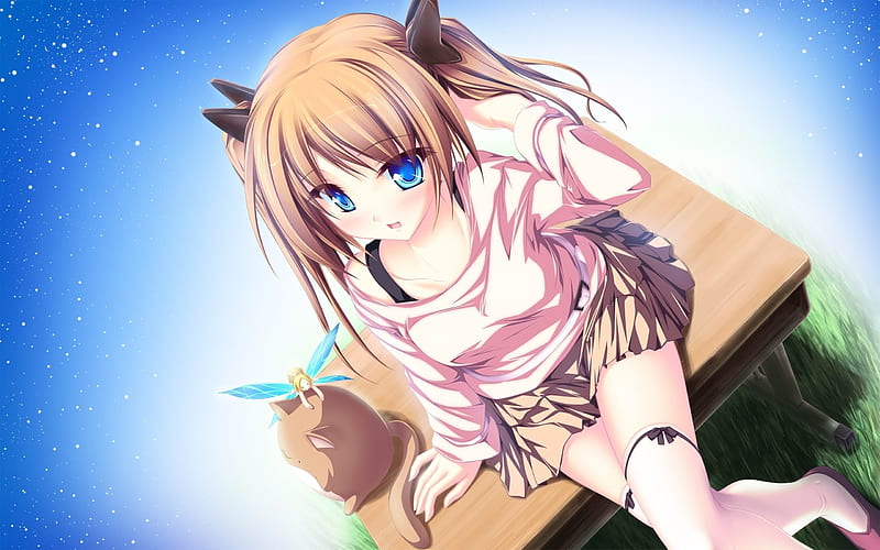 girl cat elf shine-2013 Anime, HD wallpaper