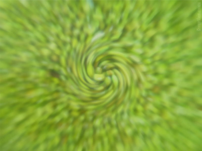 Spiral Senses, black hole, sense, bean, spiral, HD wallpaper