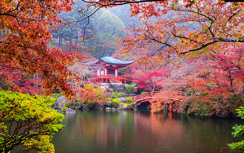 japan, autumn, park, lake, forest, HD wallpaper