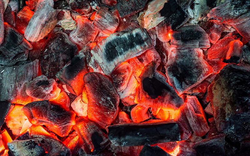 smoldering coals, bonfire, burning tree, fire, coals, HD wallpaper