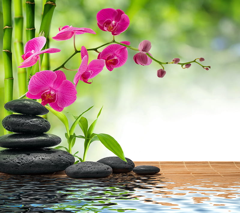 Relaxing Spa, bamboo, flower, reflection, relax, spa, stones, water, zen, HD wallpaper