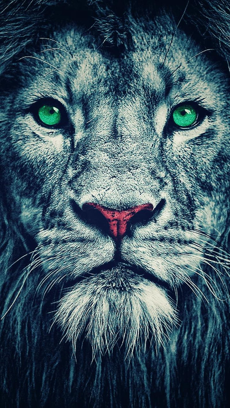 Lion, animal, lions, king, lioness, green eyes, HD phone wallpaper