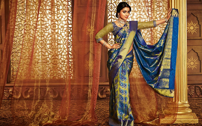 Shriya Saran, Indian actress, traditional clothes, dress, sari, Indian fashion model, HD wallpaper