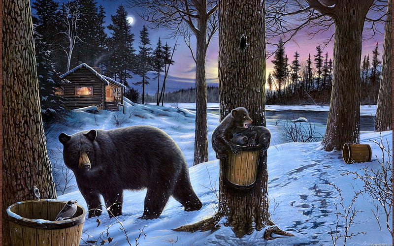 Bears, black, cabin, brown, snow, HD wallpaper