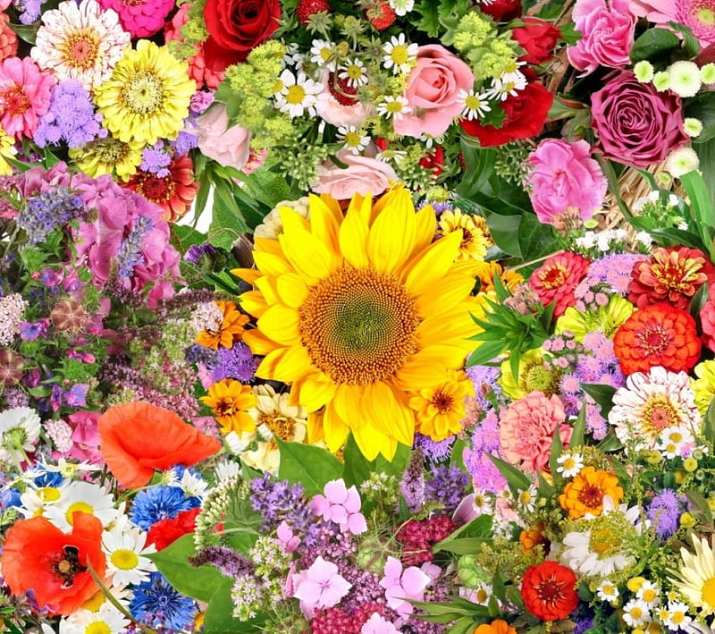 Flowers, poppies, colors, sunflower, roses, artwork, cornflowers, daisies, zinnia, blossoms, petals, HD wallpaper